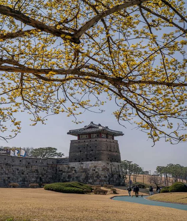 효원공원월화원