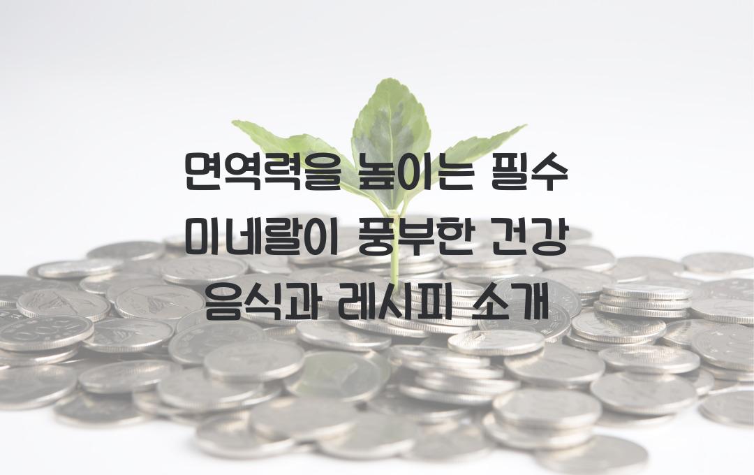면역력을 높이는 필수 미네랄이 풍부한 건강 음식