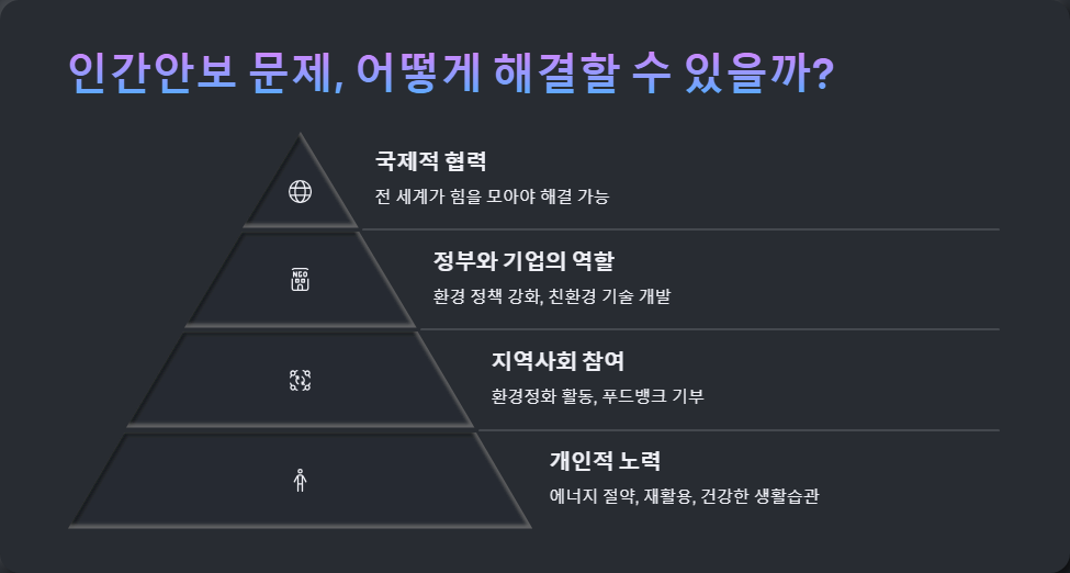 인간안보 문제 해결 방안