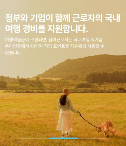 청년여행지원금 신청 방법 자격 조건 지원 혜택 프로그램 서울시 2025