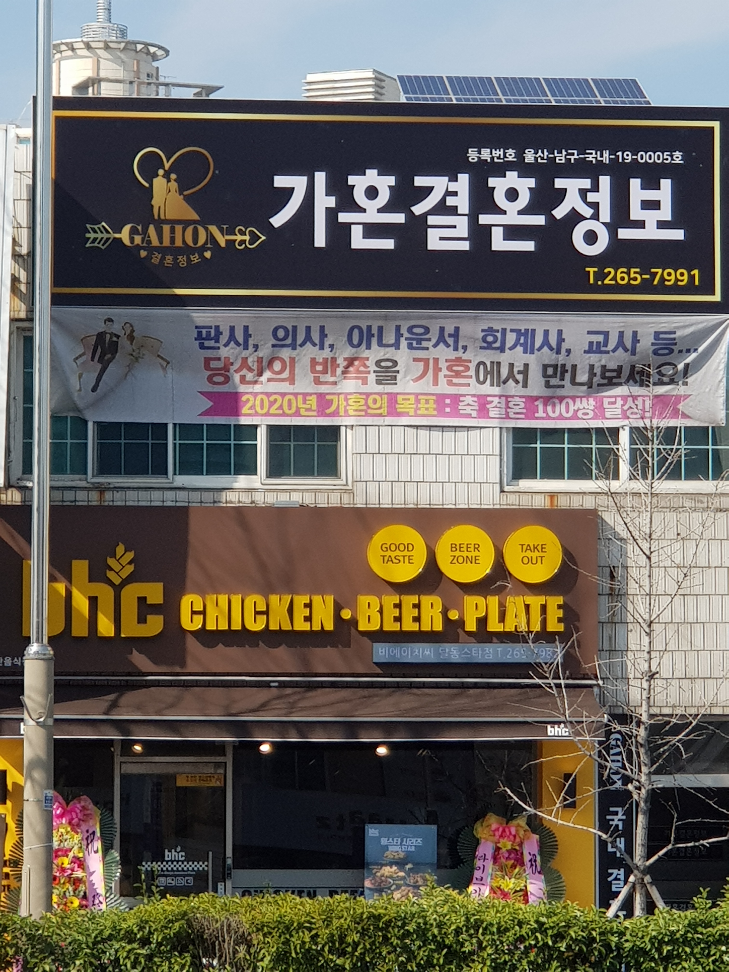 가혼결혼정보