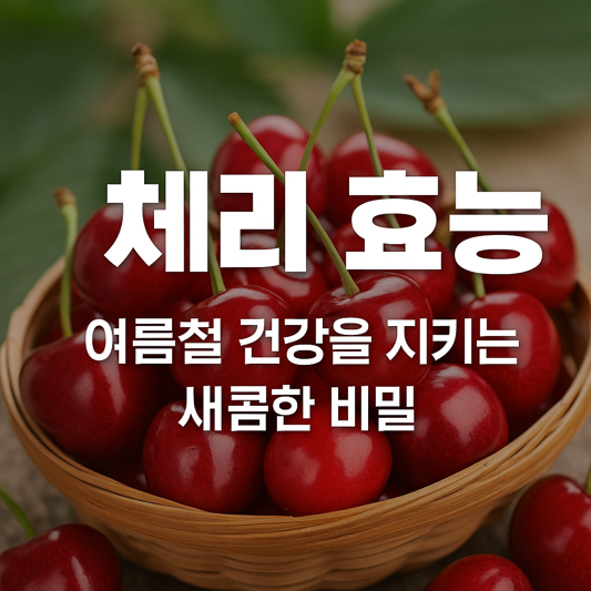 체리 효능, 작지만 강력한 항산화 과일의 건강 비밀
