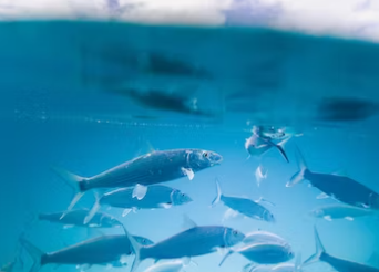 낚시터 창업에 대하여 알아보기