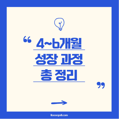 신체&middot;감각&middot;인지 발달! 4~6개월 아기의 성장 과정