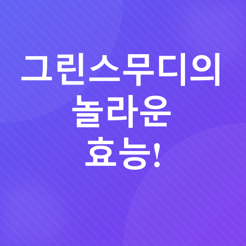그린스무디 레시피_5