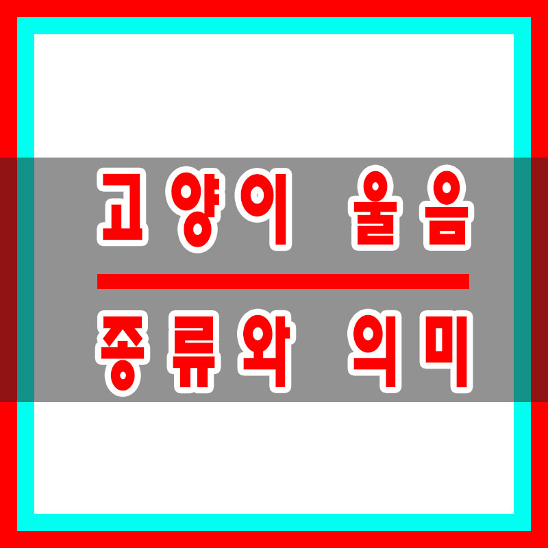고양이울음
