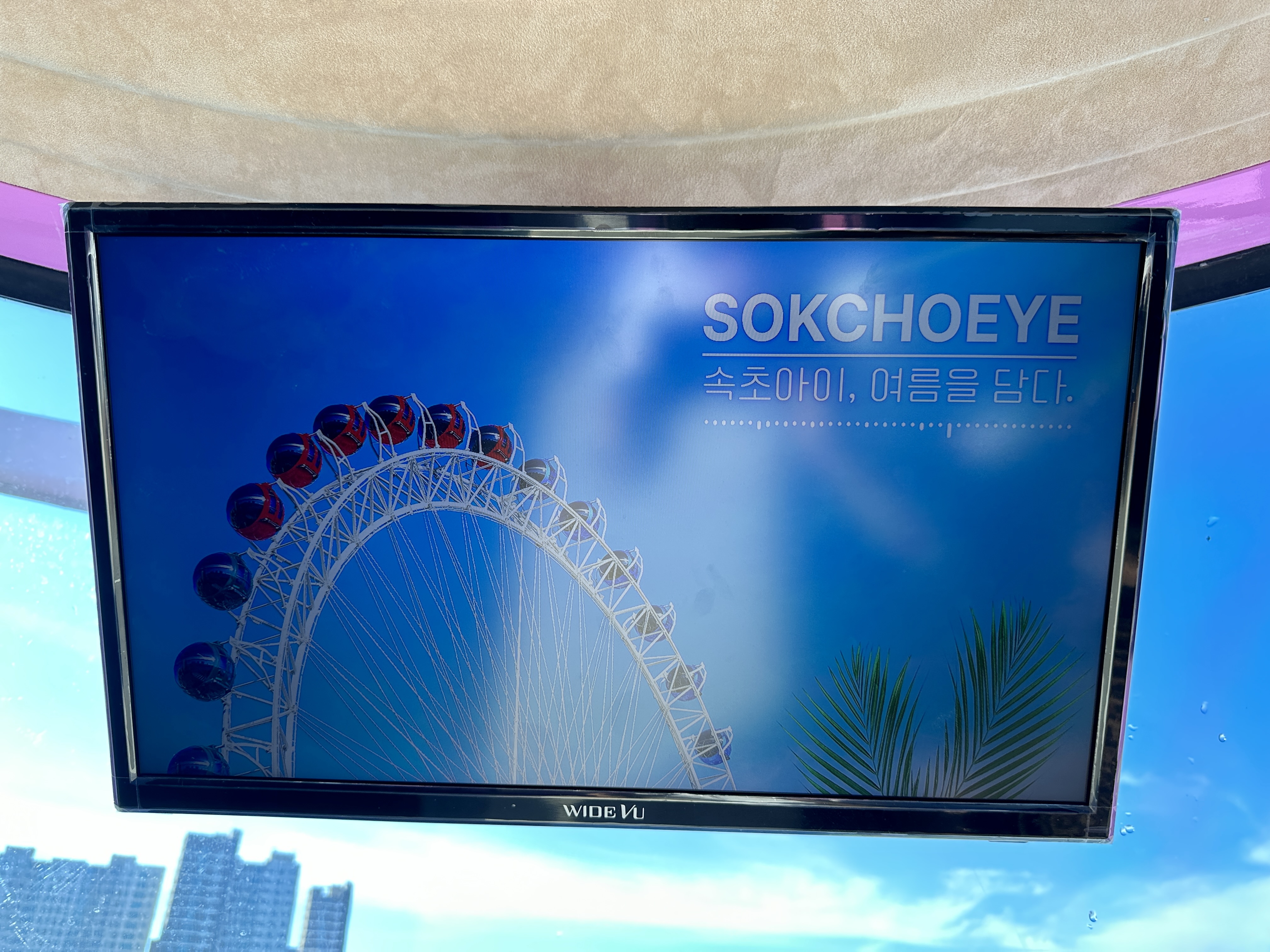 속초아이 여름을 담다