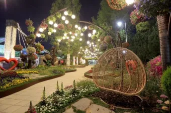 2025 고양국제꽃박람회 일정 사전예약 할인_13