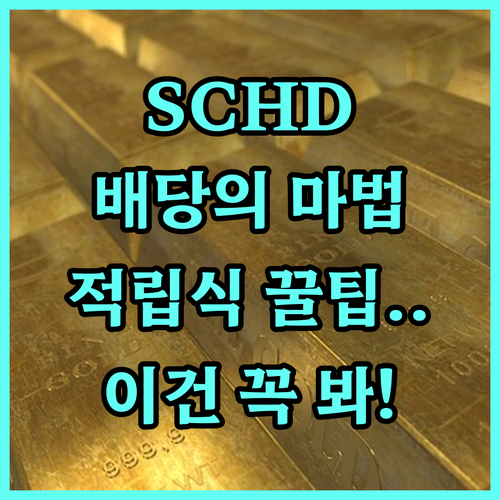 SCHD 적립식 투자 방법 및 배당 ..