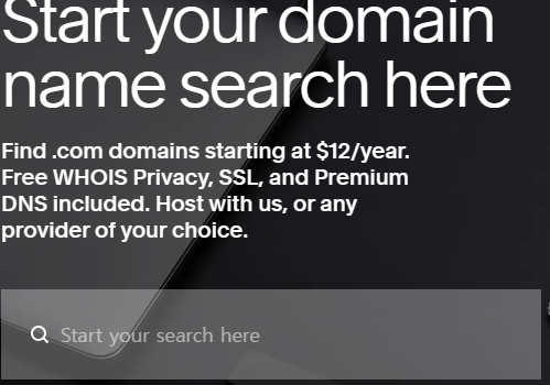 Squarespace domain 접속화면