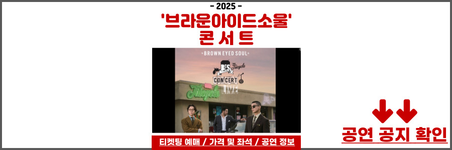 브라운아이드소울 콘서트