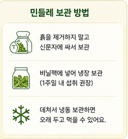 민들레장조림이미지