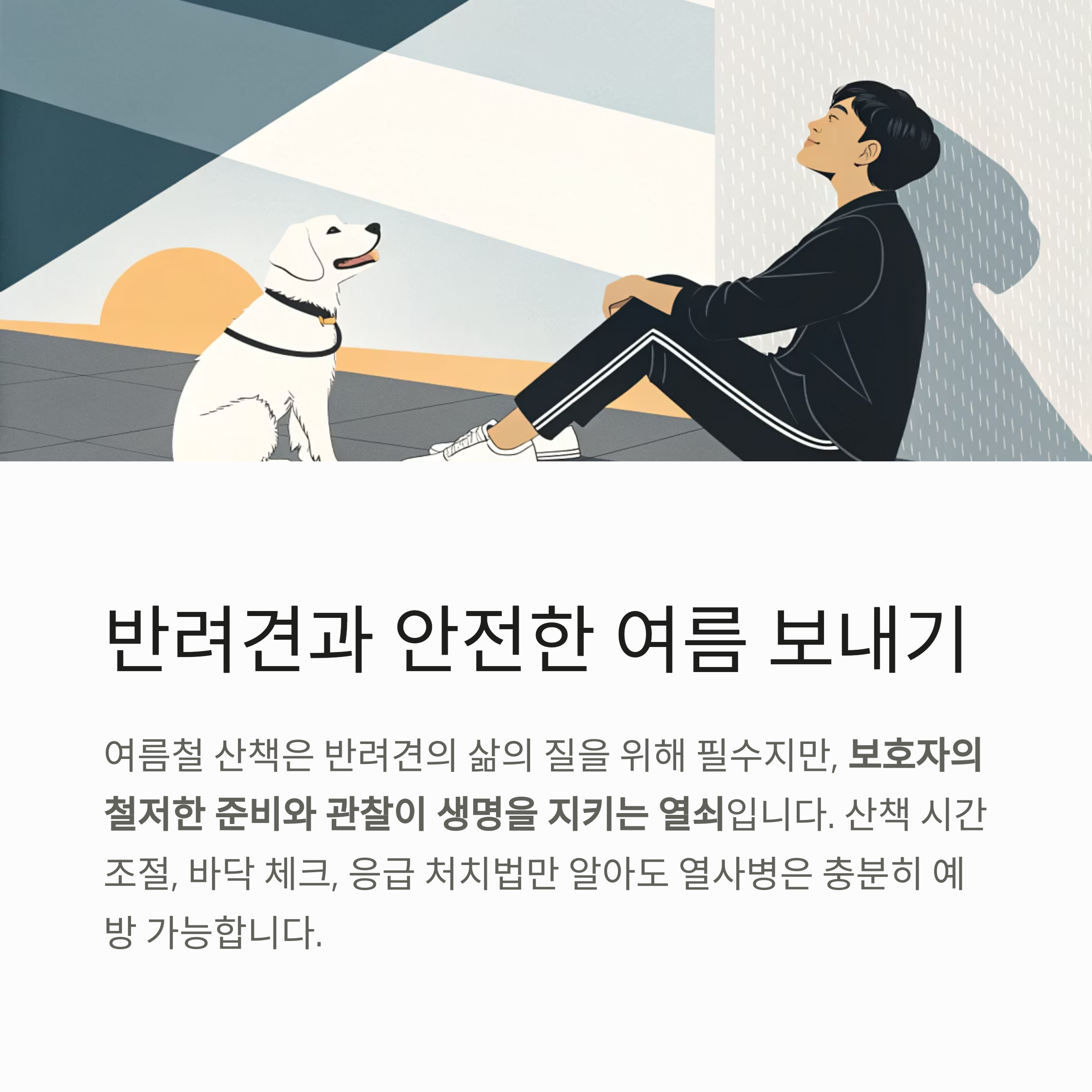 반려견과 안전한 여름 보내기