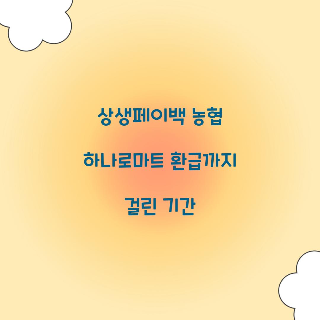 상생페이백 농협 하나로마트 환급까지 걸린 기간