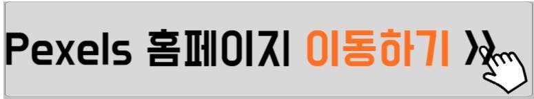 pexels-홈페이지-설명하는-사진