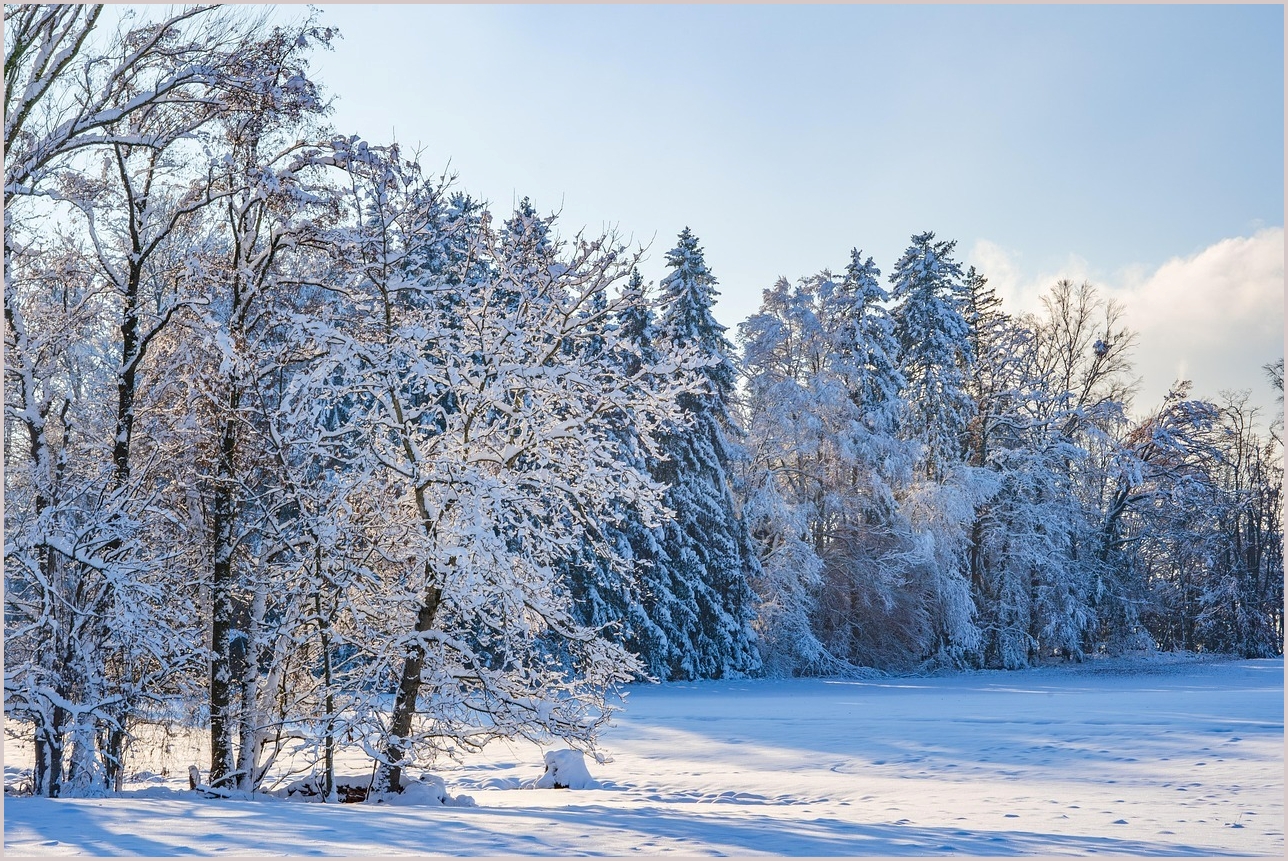 그랜저 하이브리드 가격표