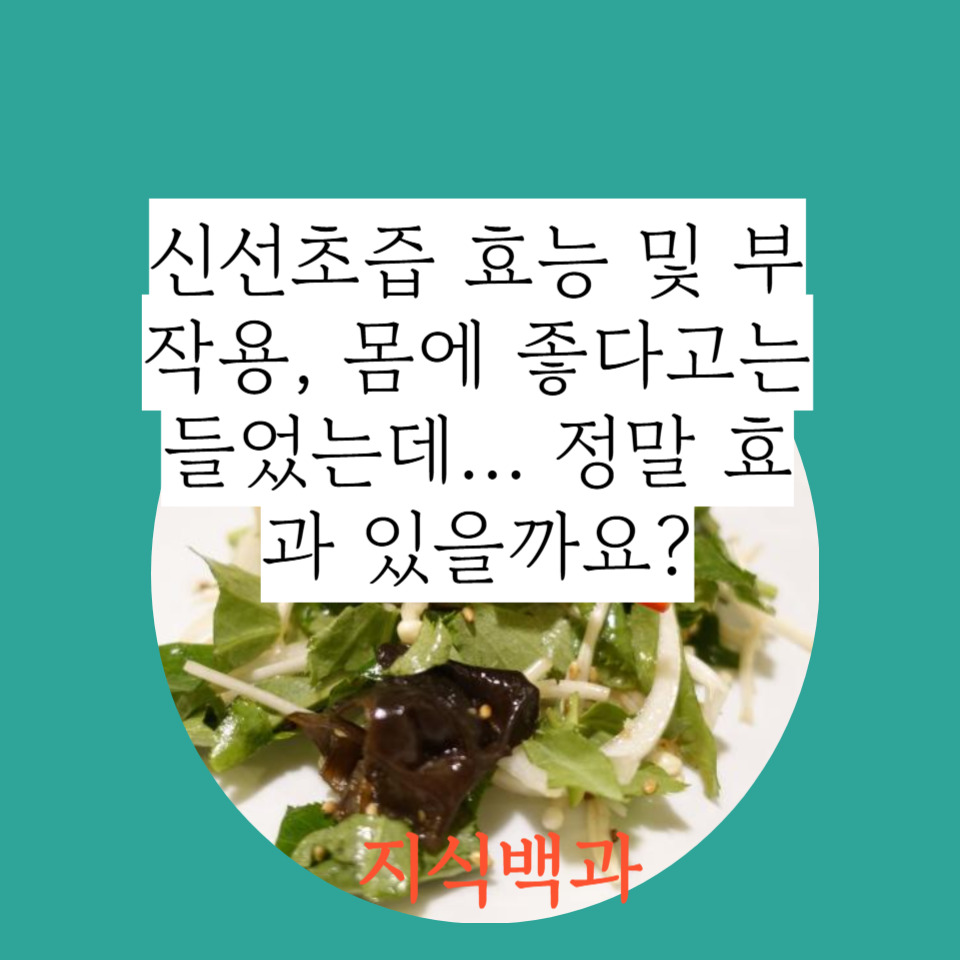 신선초즙 효능 및 부작용, 몸에 좋다고는 들었는데&hellip; 정말 효과 있을까요?