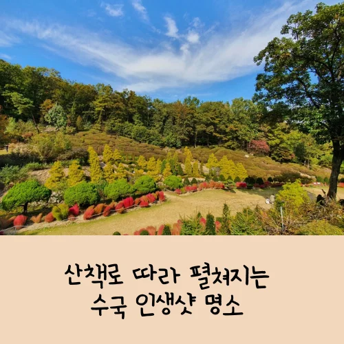 율봄식물원 수국 축제
