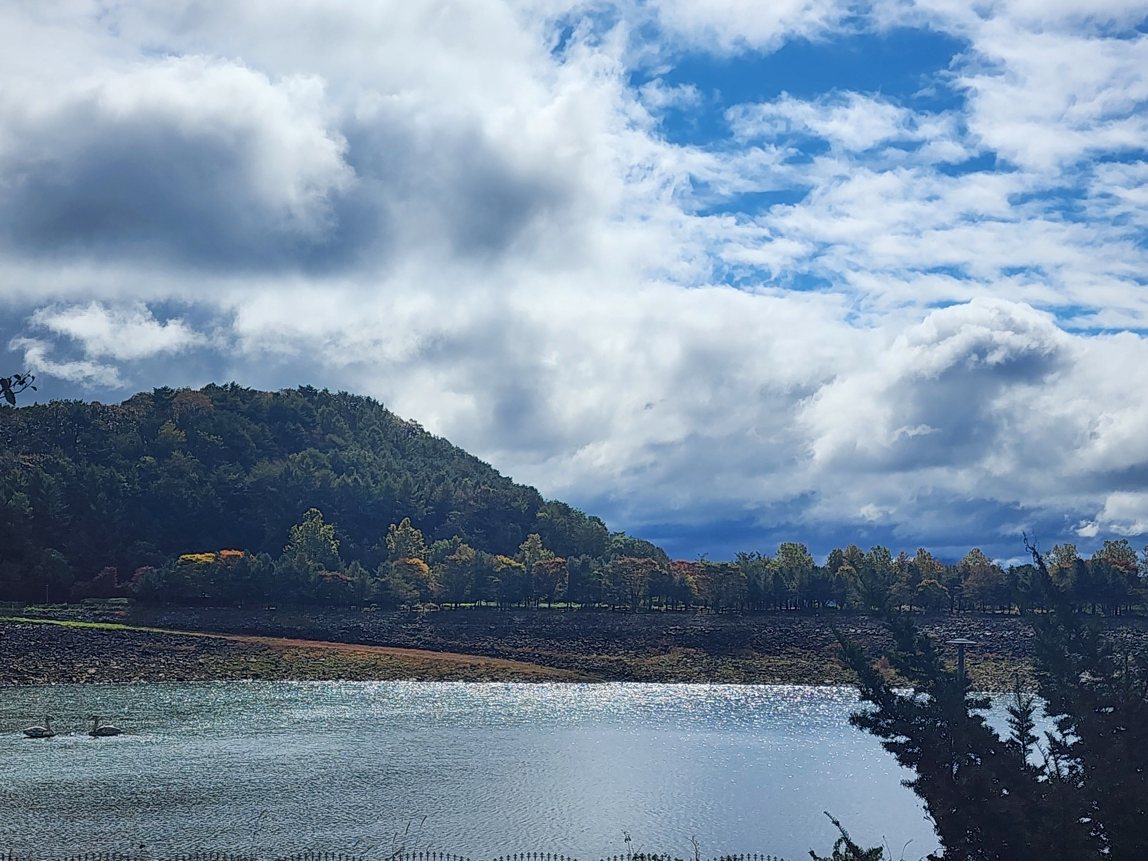 Alt 속성 문제 해결 설명 이미지