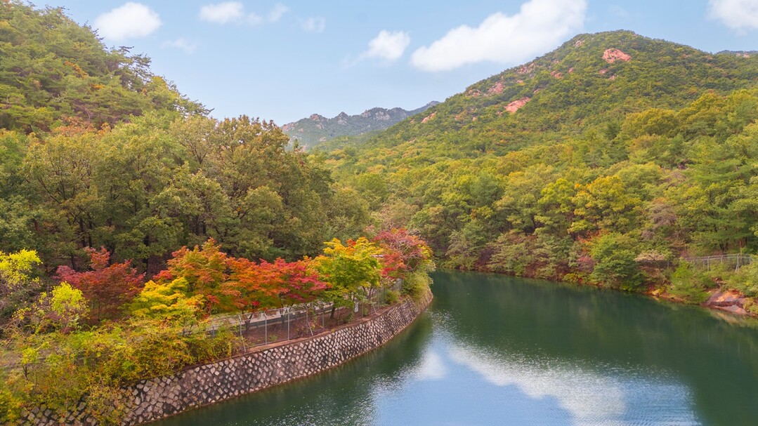 서울대 관악수목원이 안양수목원으로 - 58년 만에 공개