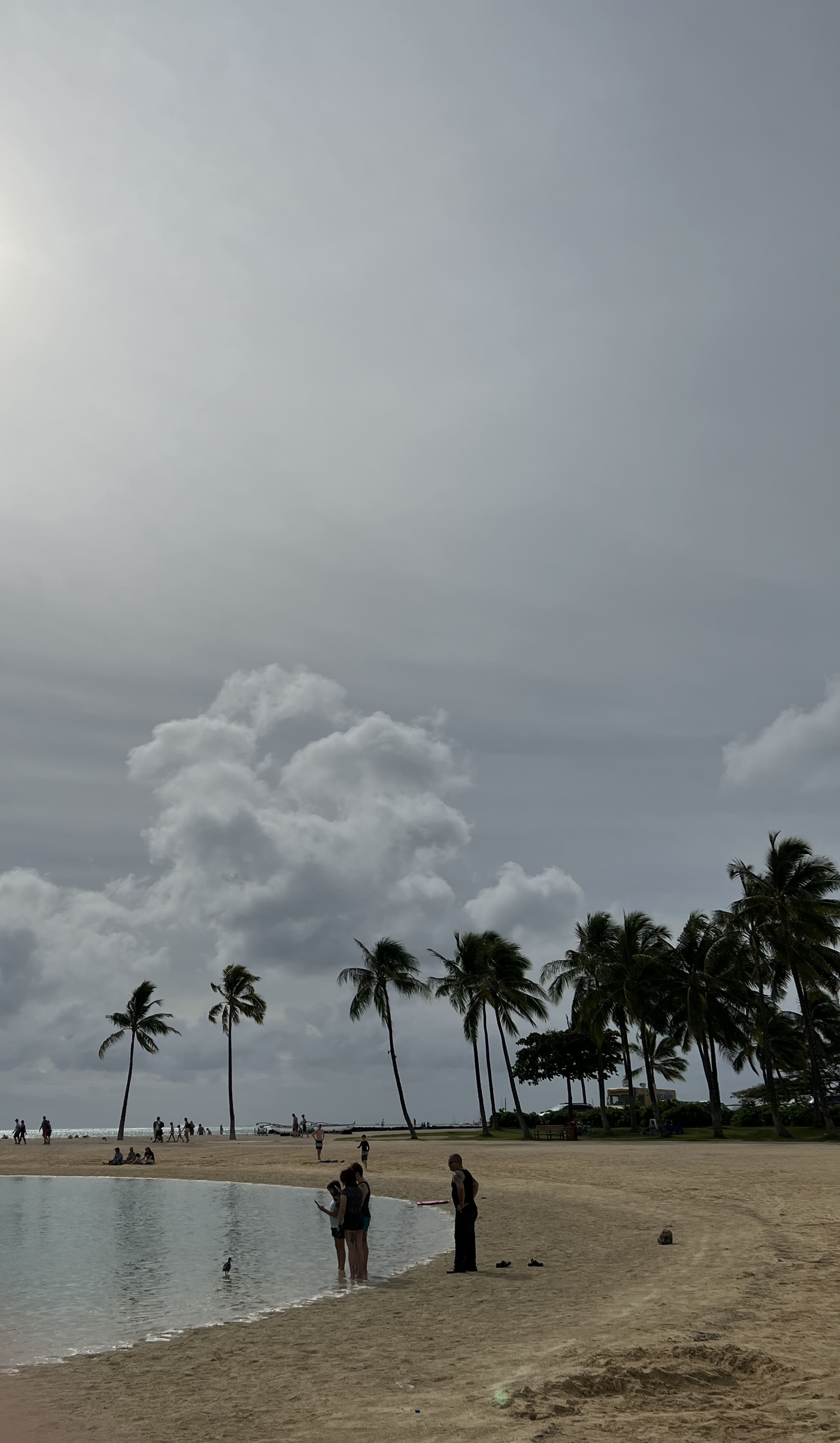 크리스마스-하와이여행-힐튼-와이키키