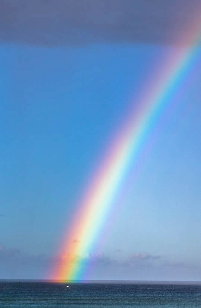 와이키키해변 무지개