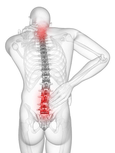 뒷골이 땡기는 이유와 나타날 수 있는 증상들을 확인해보세요. 뒷골이 땡기는 원리와 완화 방법까지 참고하시기 바랍니다.