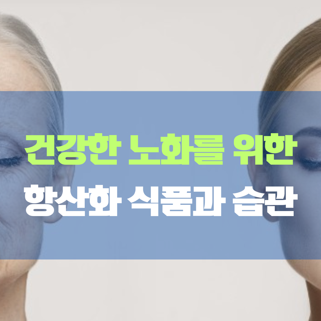 건강한 노화 식품과 습관