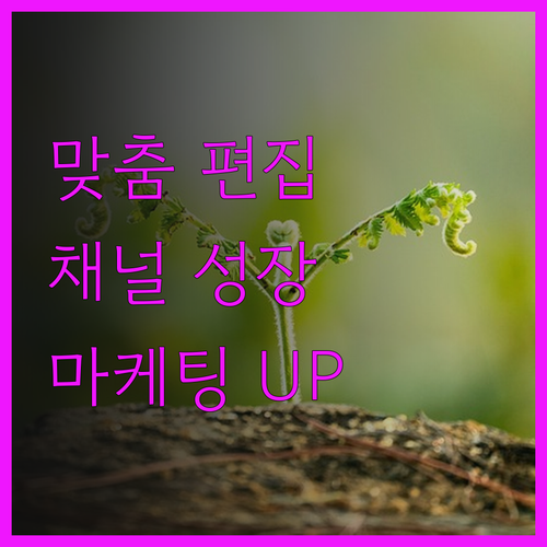 맞춤형 영상 편집으로 당신의 유튜브 