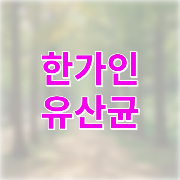 한가인 유산균