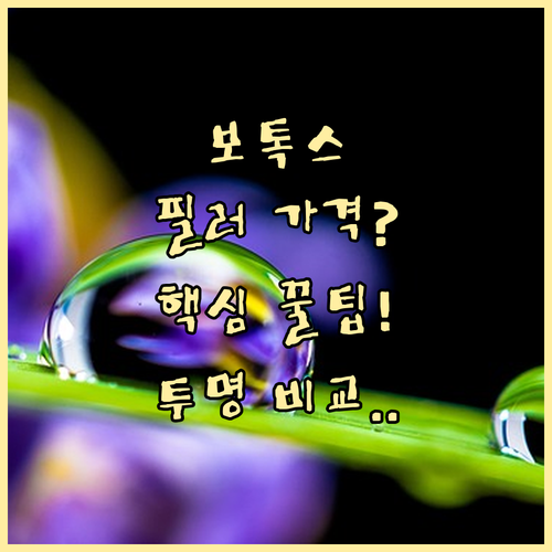 보톡스 필러 가격 투명하게 비교하는 ..