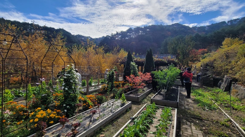 특색있고 아름다운 민간 정원 30선 추천 여행 - 12. 인제 찍박골 정원