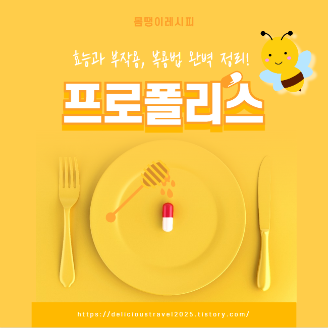 프로폴리스 효능과 부작용 복용법 완벽 정리