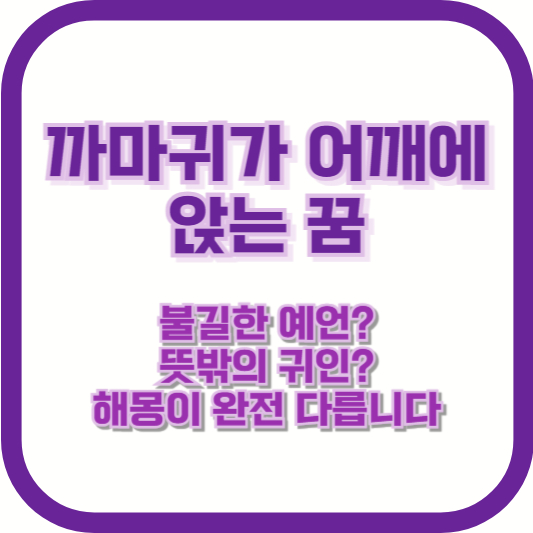 까마귀가 어깨에 앉는 꿈, 불길한 예언? 뜻밖의 귀인? 해몽이 완전 다릅니다