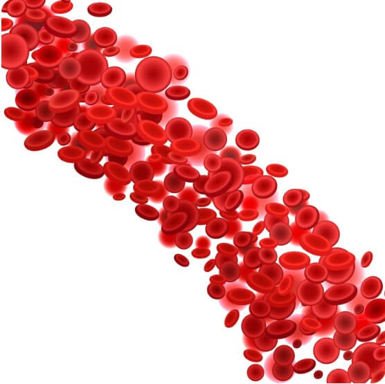 황색판(눈꺼풀 지방침착)을 설명하는 모습