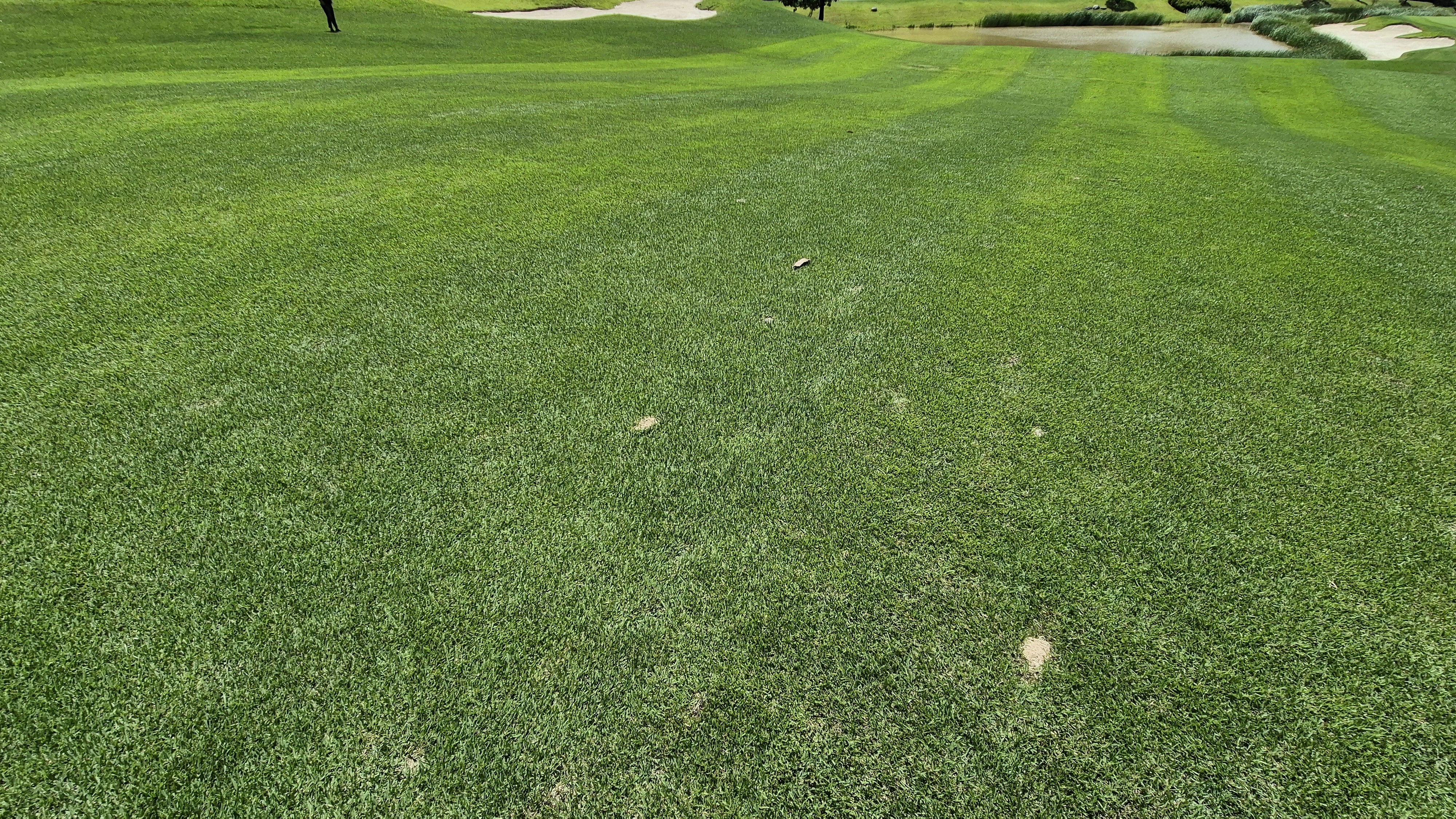 SG 아름다운cc 라운드 후기