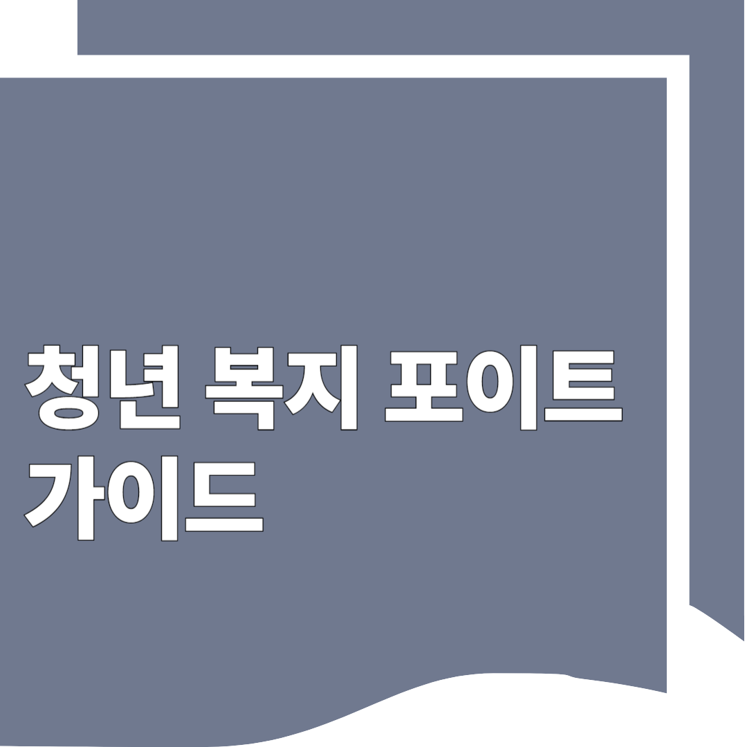 청년 복지 포인트 가이드