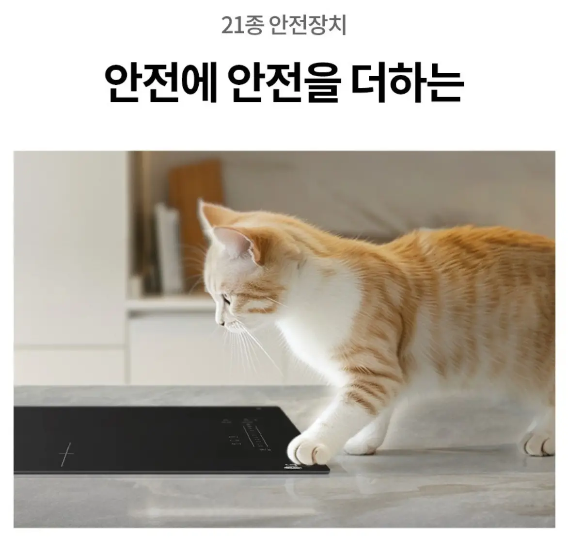사진14