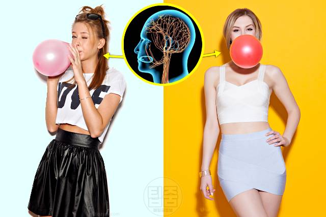 뇌를 속이는 다이어트 운동없이 10kg빼기 다이어트 껌