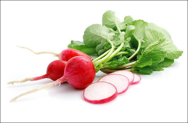 다이어트 음식 체중감량 저칼로리 식품