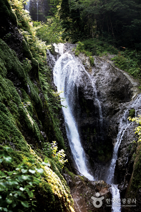 울릉도 가볼만한곳 베스트10 