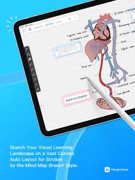 아이패드 필수앱