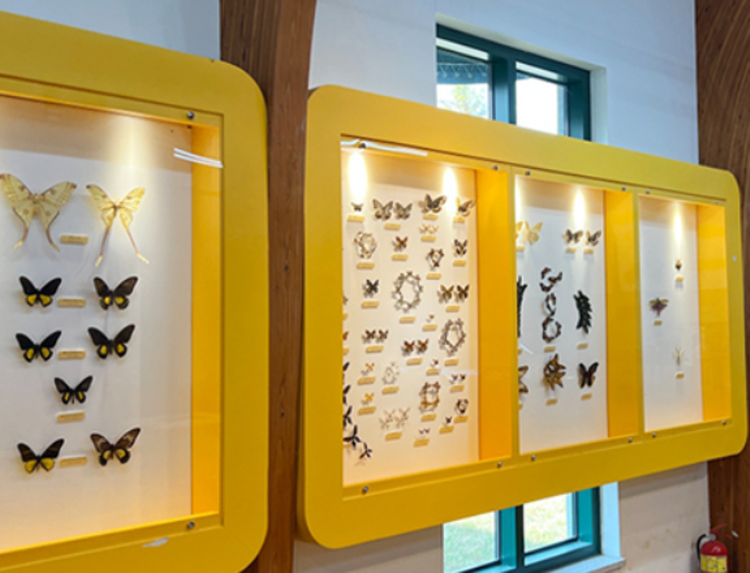 담양 곤충박물관