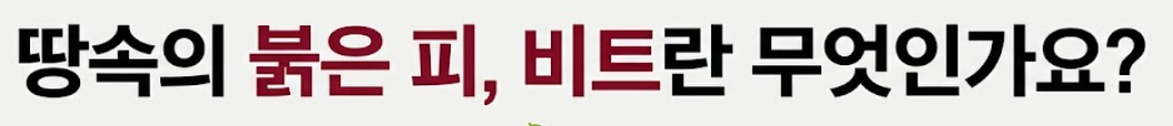 비트 효능