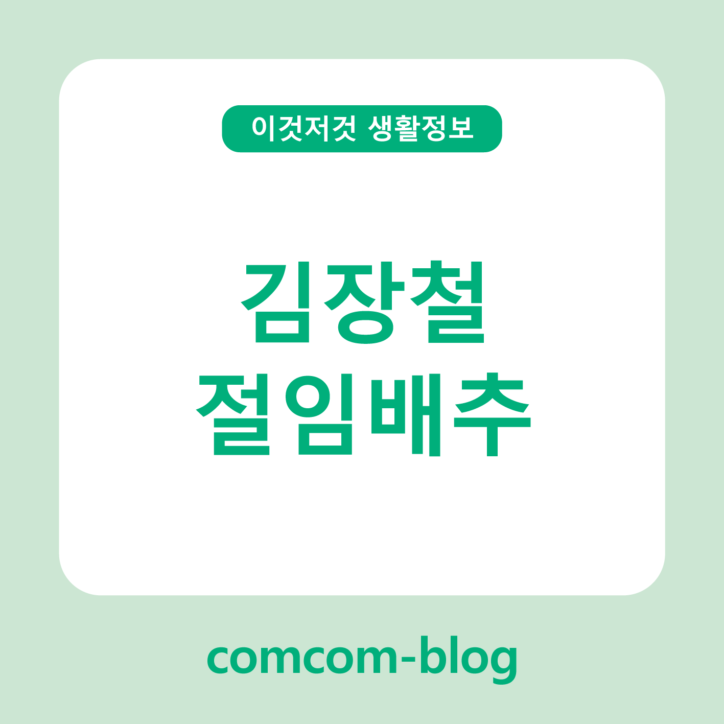 김장철의 시작, 절임배추로 미리 준비하는 여유로운 김장 이야기 🥬