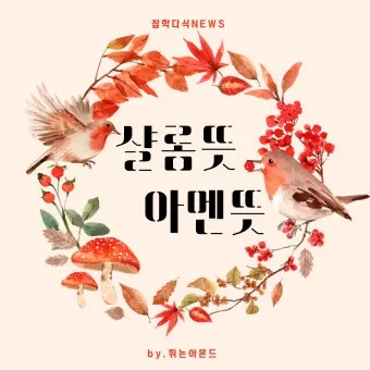 샬롬 뜻 히브리어 평화 유래 사용법_3