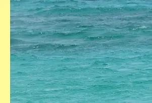 시흥 웨이브파크