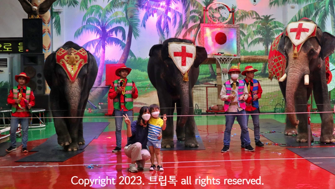 세마리 코끼리와 조련사 앞에 두사람