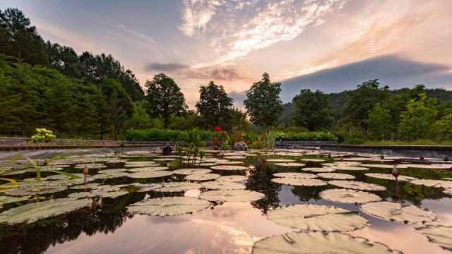 국립 백두대간수목원