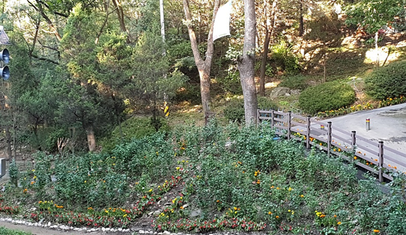 안양 병목안캠핑장 예약 명당